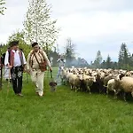 Zbojnicky Halas * Tisovec