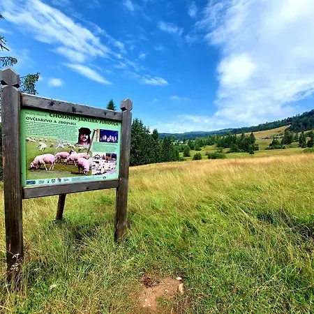 Zbojnicky Halas 招待所 *