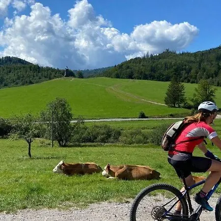 Zbojnicky Halas 招待所 *