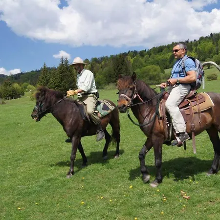 Zbojnicky Halas 招待所 *