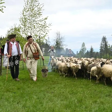 Zbojnicky Halas * Tisovec