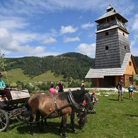 Zbojnicky Halas Guest house *