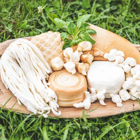 招待所 Zbojnicky Halas